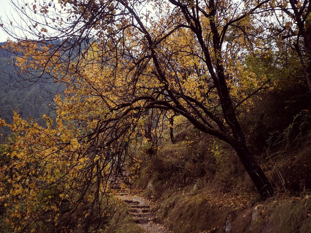 Chhoie Waterfall景点图片