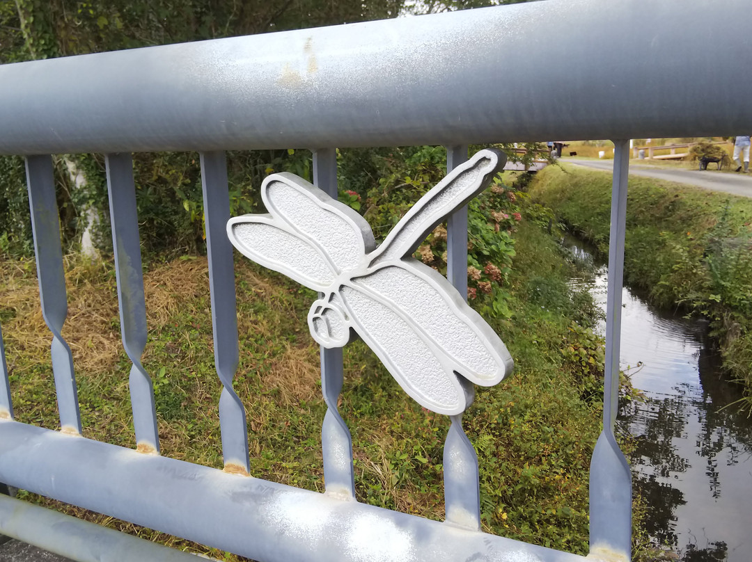 Dragonfly Nature Park-四万十市必去景点