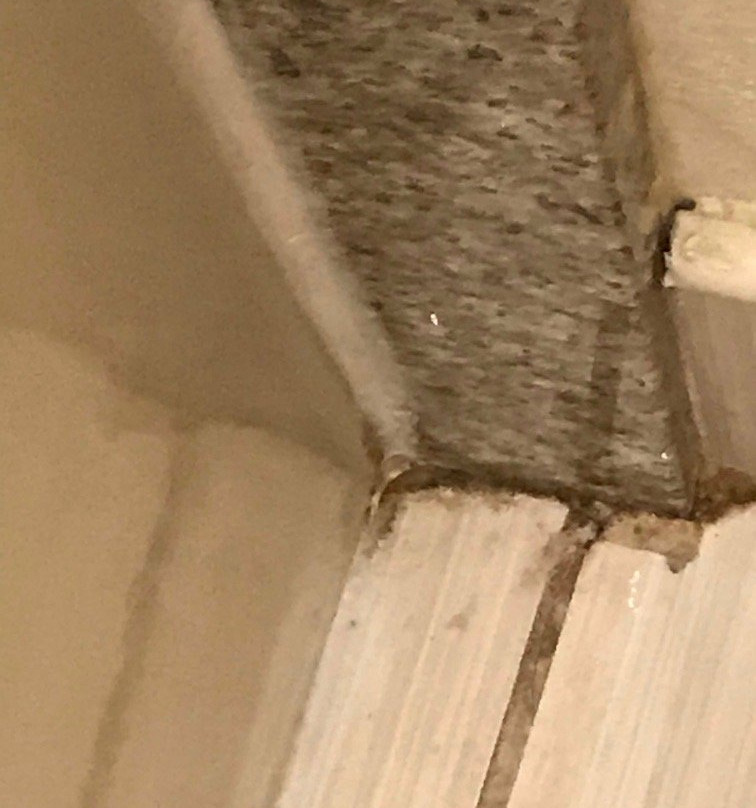 Chattanooga Heritage Inn主图