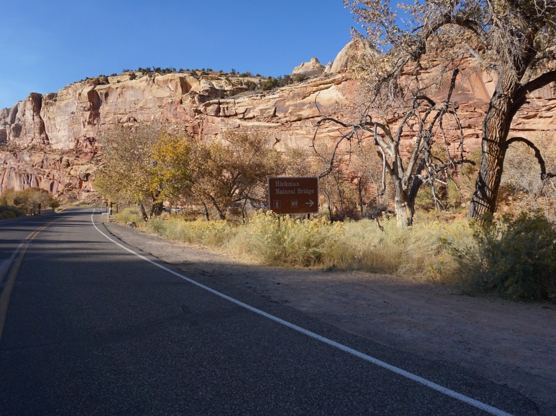 Cohab Canyon Trail-圆顶礁国家公园必去景点