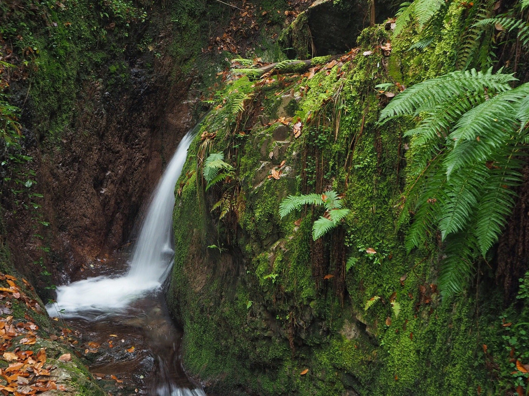 Edelfrauengrab-Wasserfaelle-奥滕赫芬伊姆斯希瓦尔茨瓦尔德必去景点