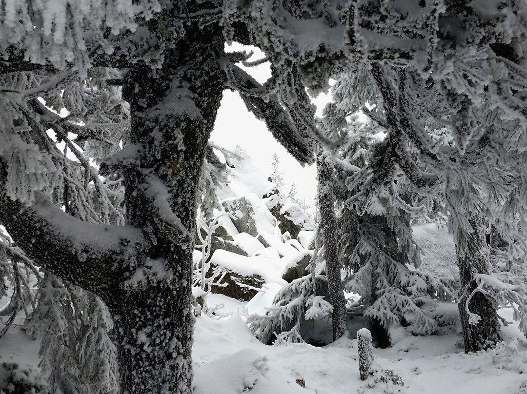 Kachkanar Mountain-Kachkanar必去景点
