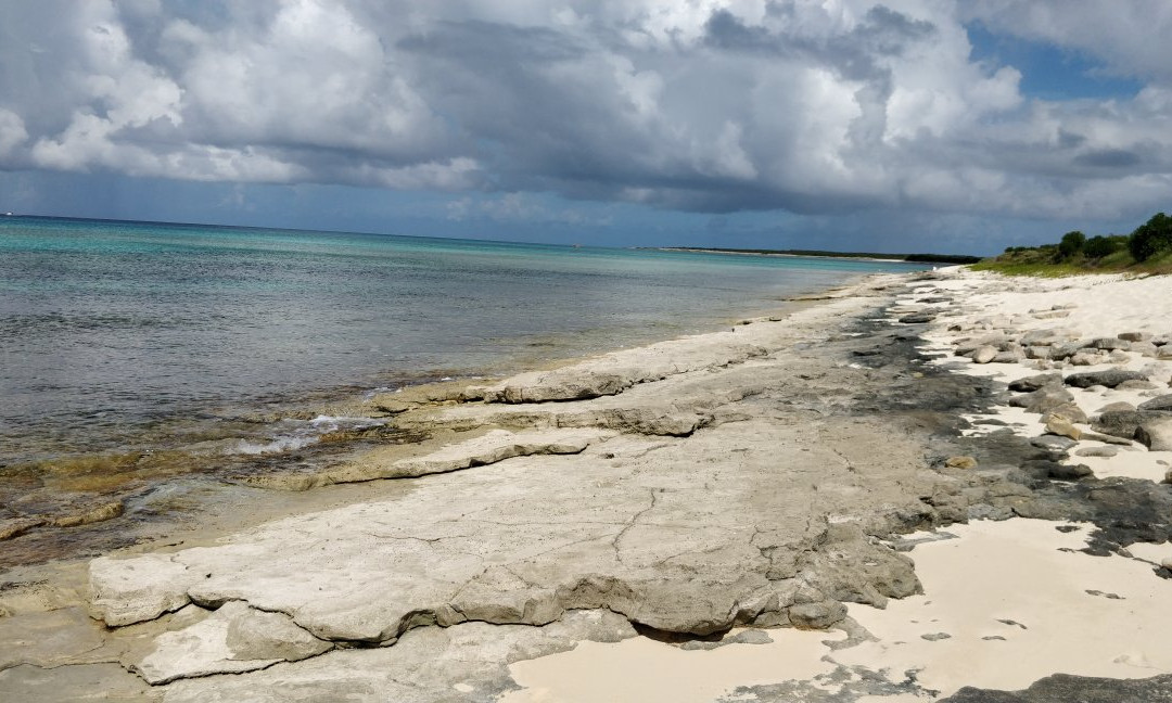 Malcolm's Road Beach-普罗维登西亚莱斯必去景点