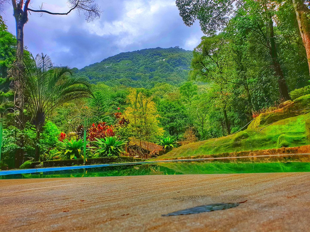 Blue Ginger Resort主图