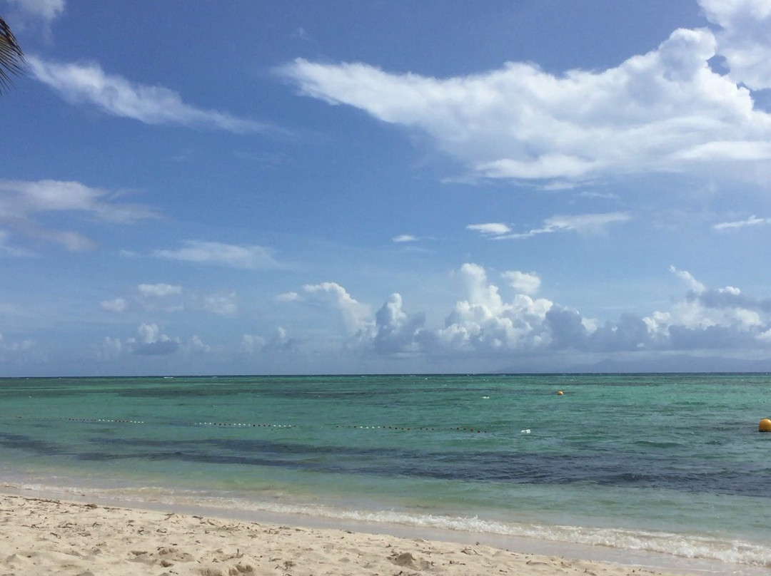 Plage Du 3Eme Pont景点图片