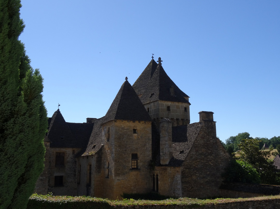Château de Saint-Geniès景点图片