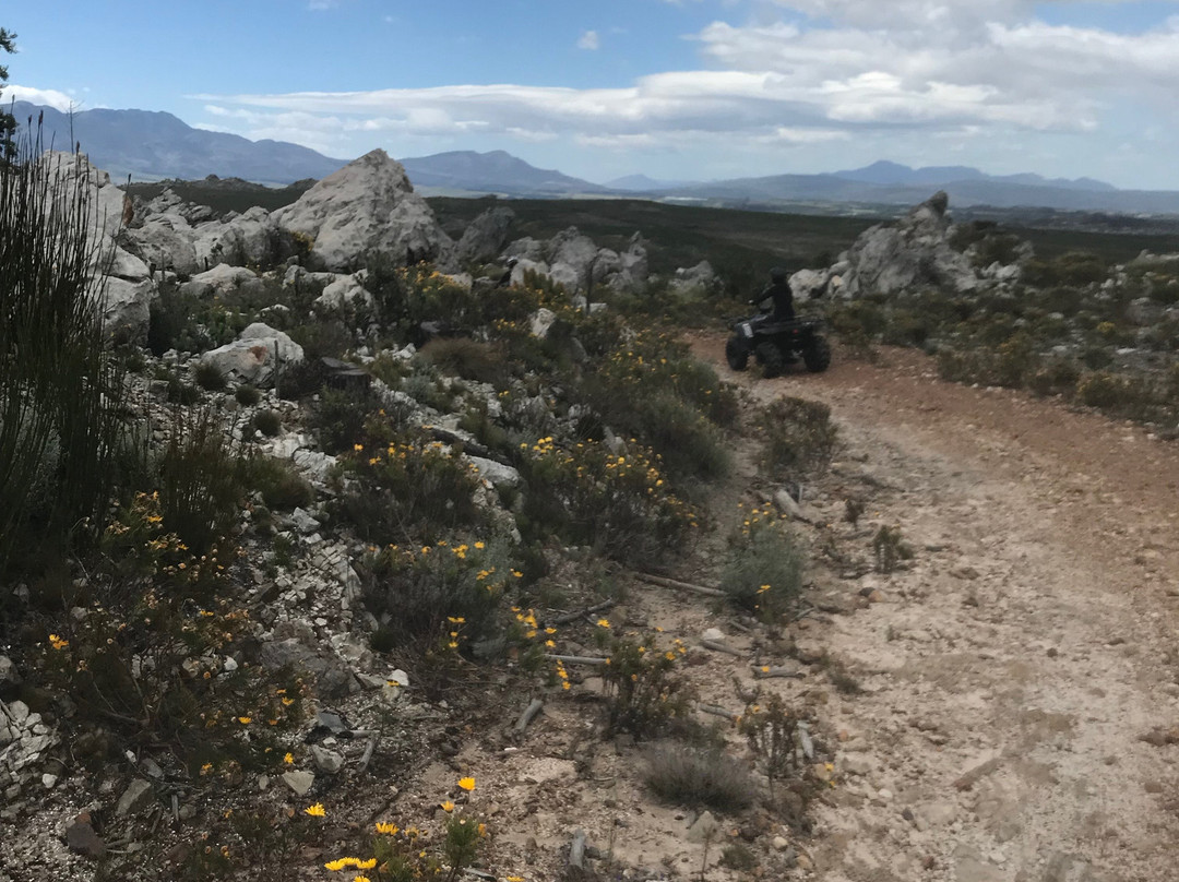 Cape Adventure Zone-开普敦中心区必去景点