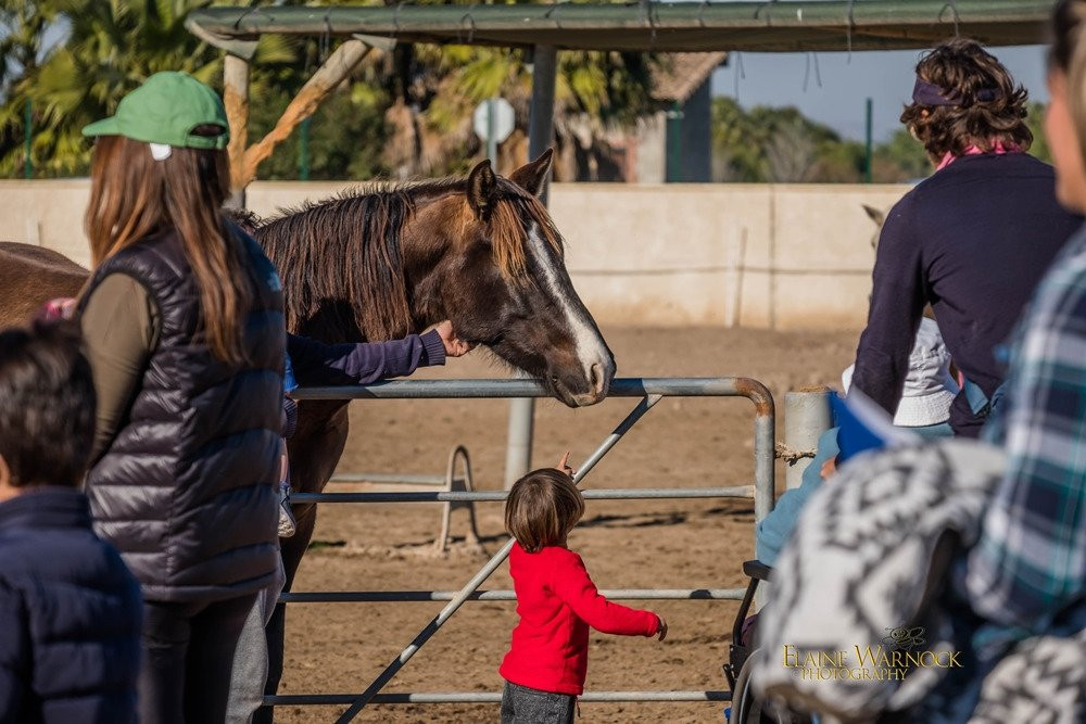 Easy Horse Care Rescue Centre景点图片