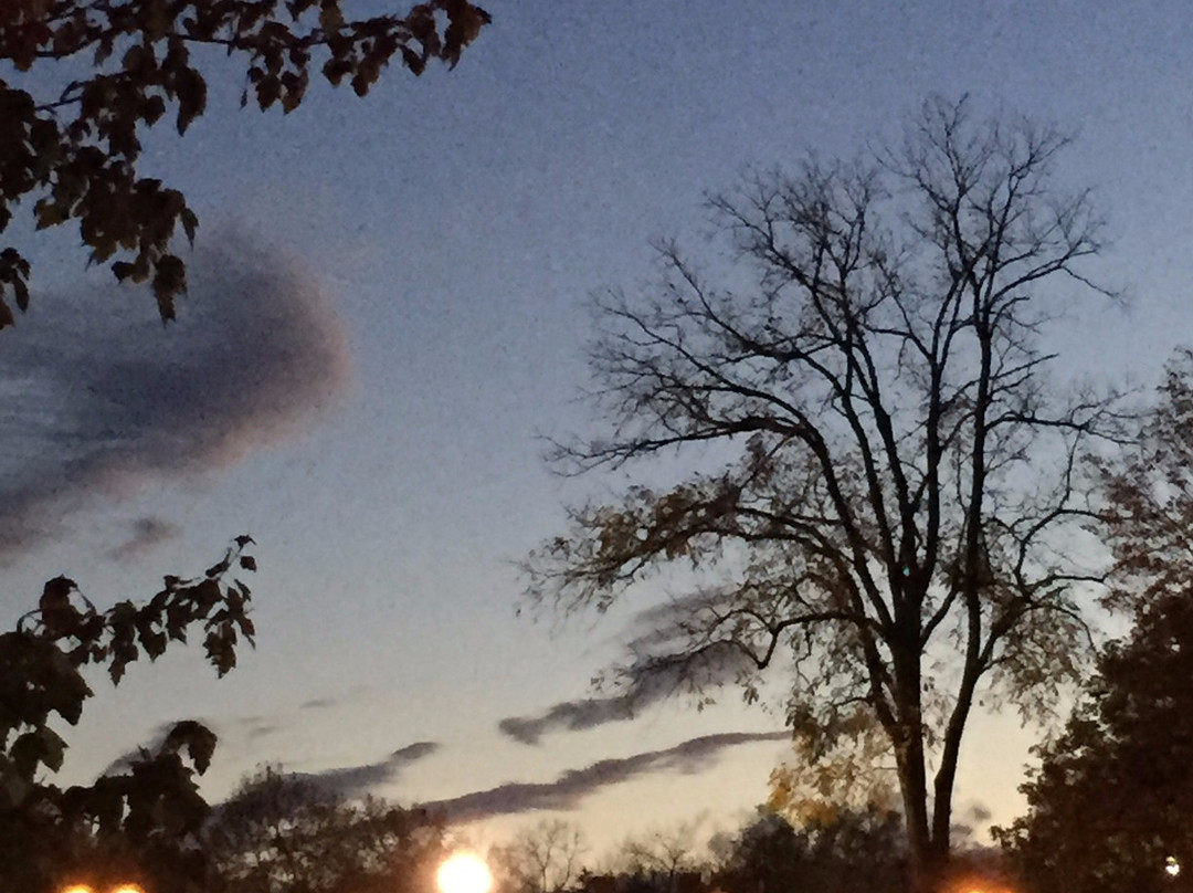 Lock 32 Brewing Company-Pittsford必去景点