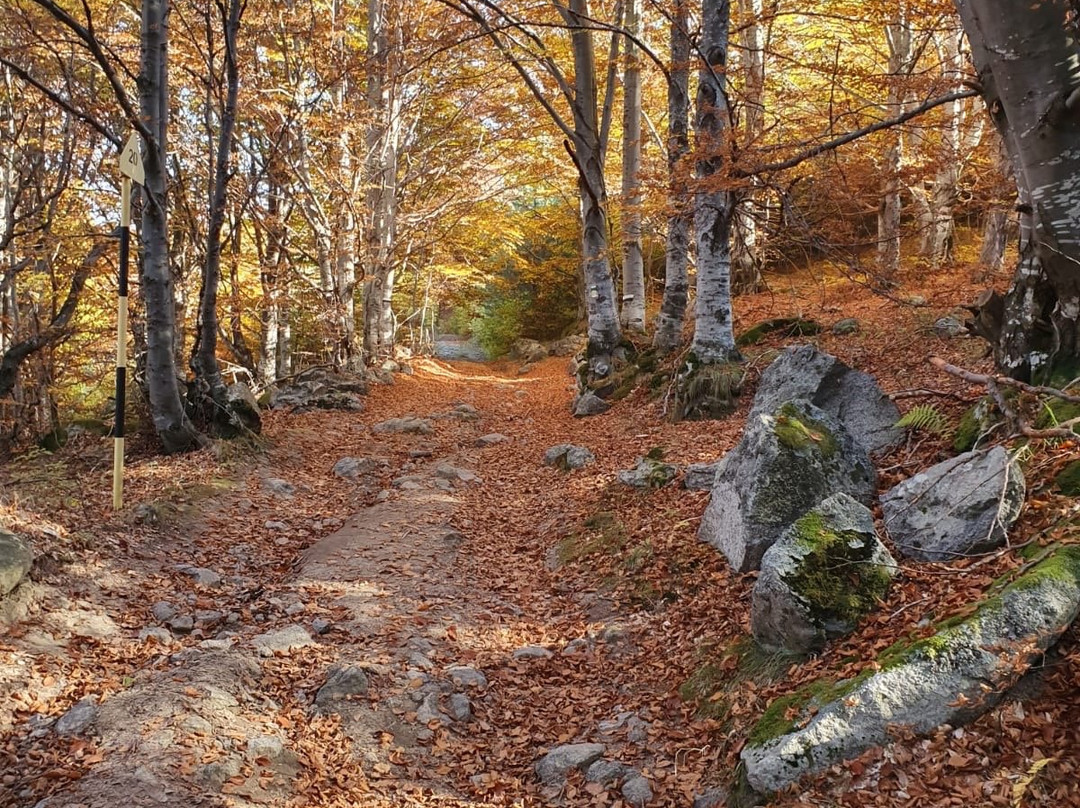 Hotel Villa Magus主图