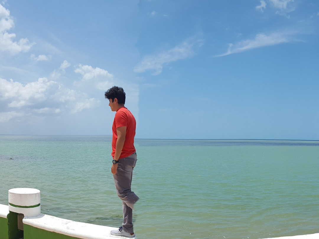 Isla Arena (Isla del Sabalo)-Calkini必去景点