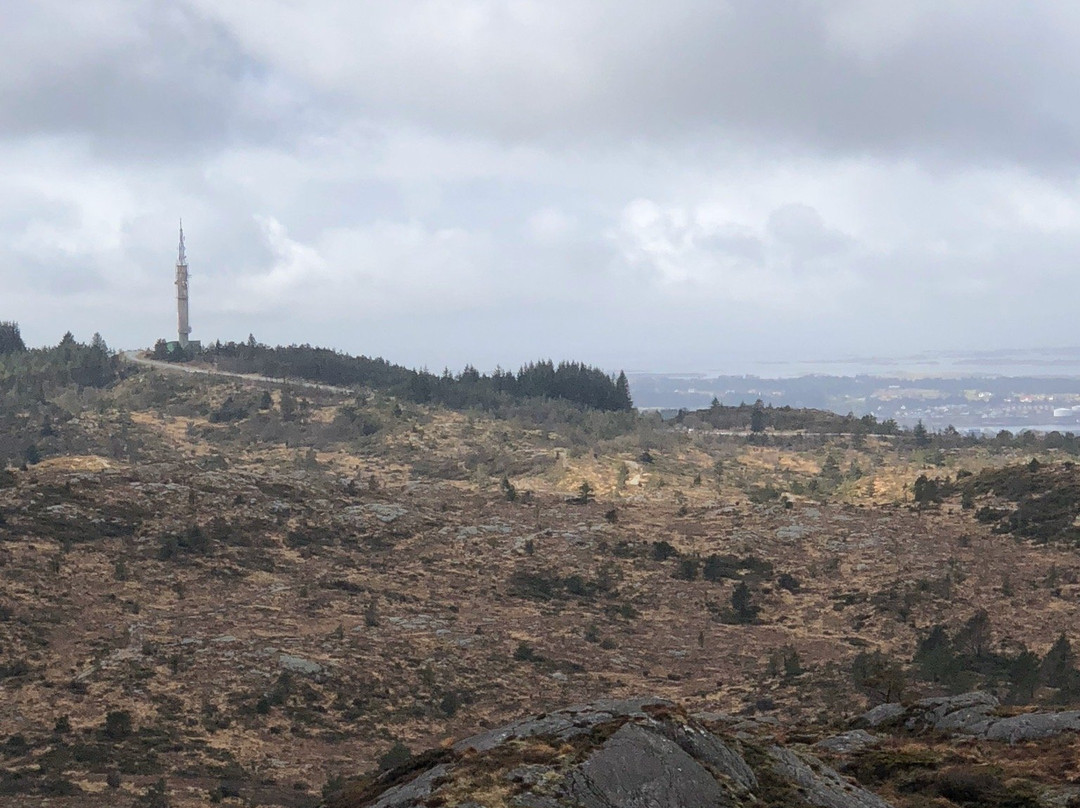 Steinsfjellet-Haugesund必去景点