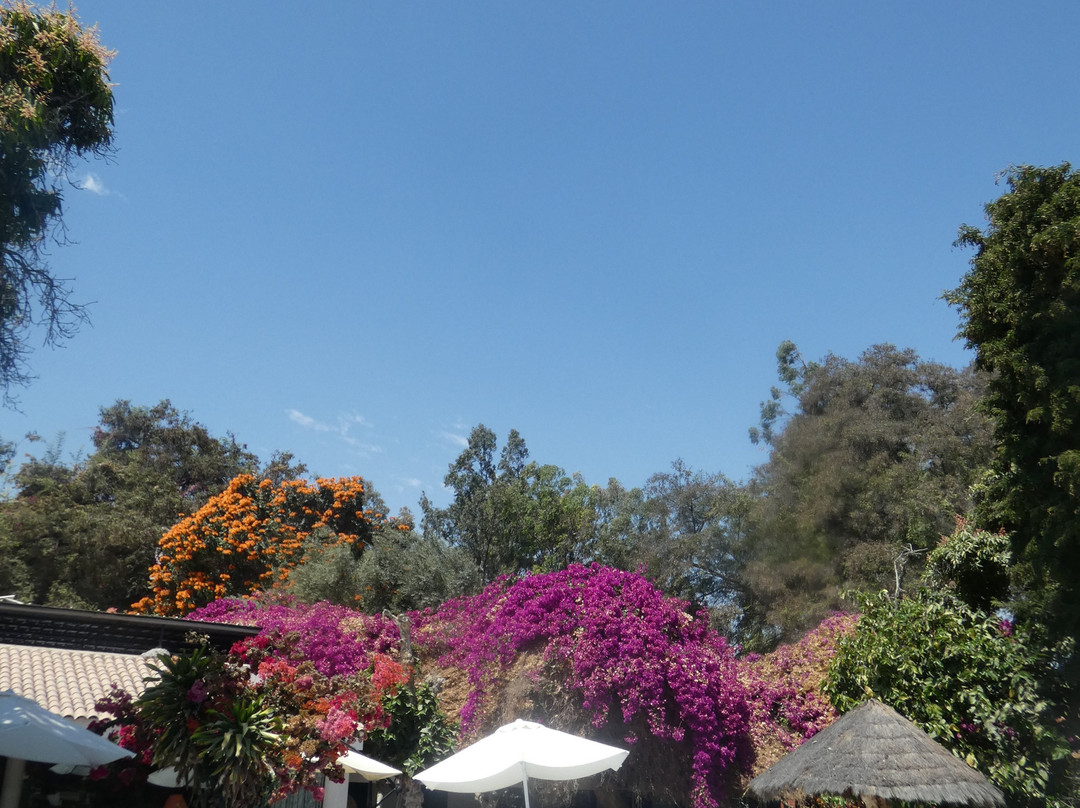 Hacienda Majoro 精品渡假村主图