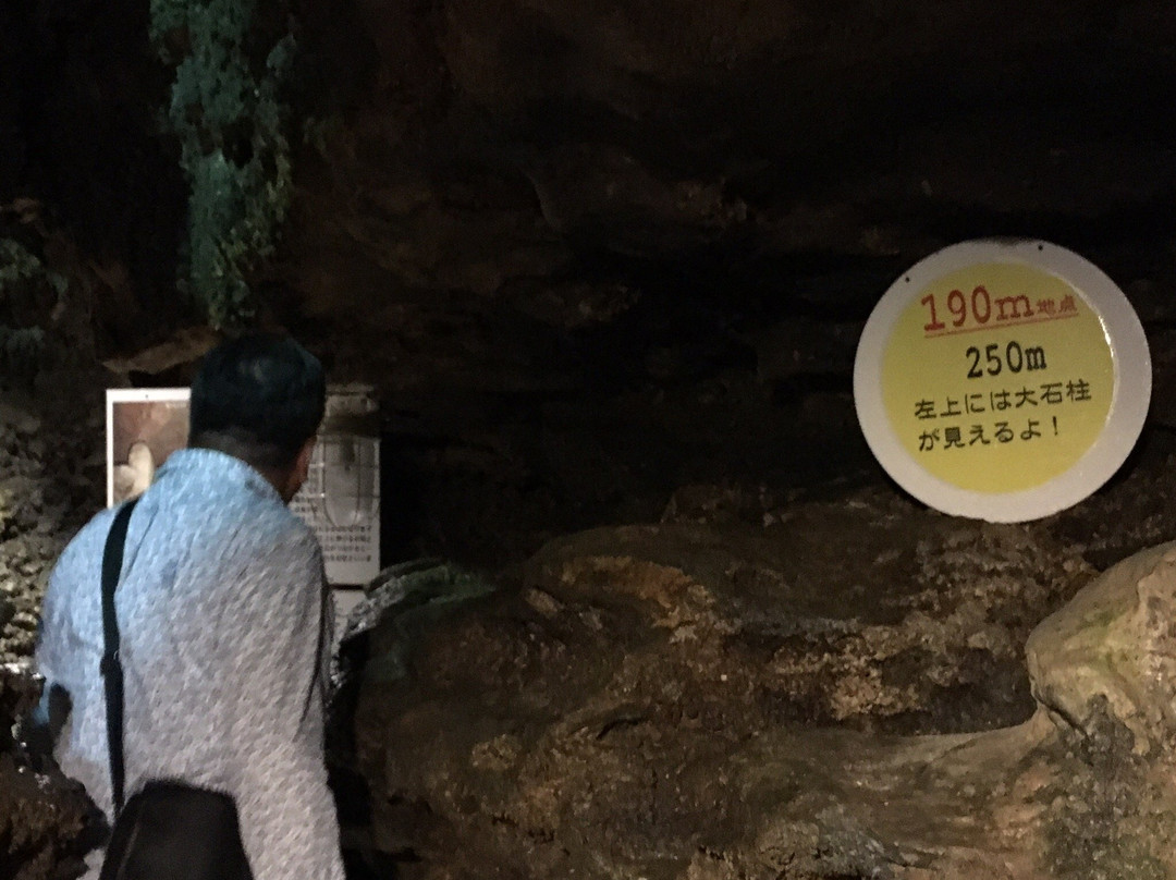 Nanatsugama Limestone Cave景点图片