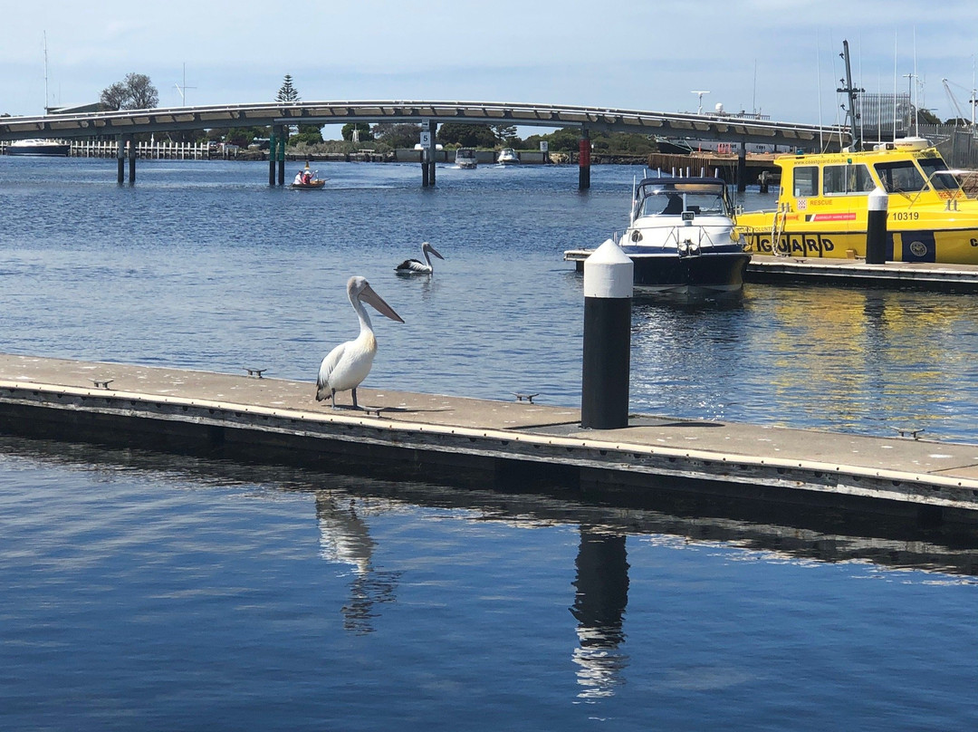 Queenscliff Harbour-皇后崖必去景点