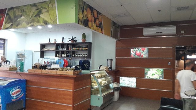 Vidor Center-Hazeva必去景点