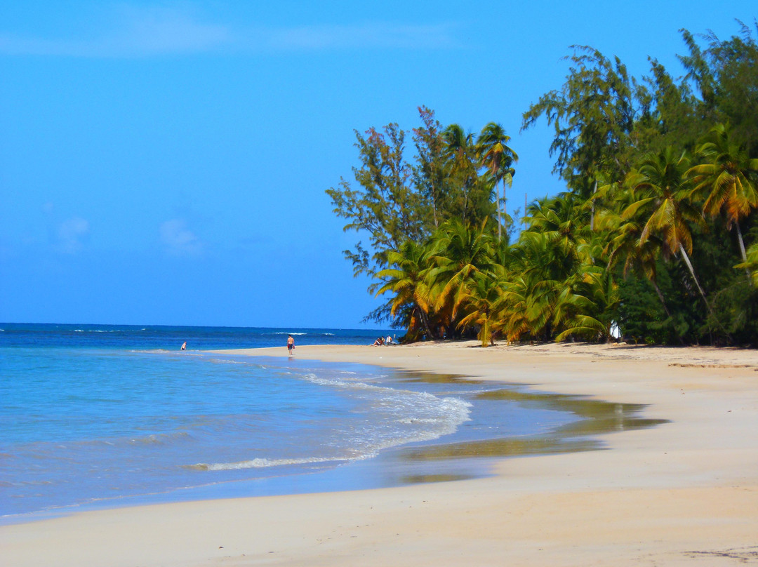 Playa Las Ballenas景点图片