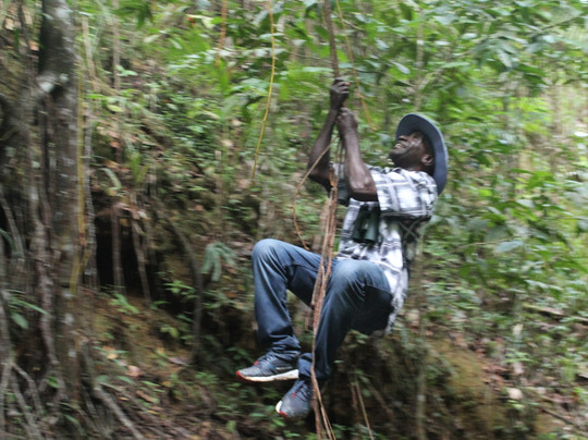 Peter Cox Wildlife Tours-多巴哥必去景点