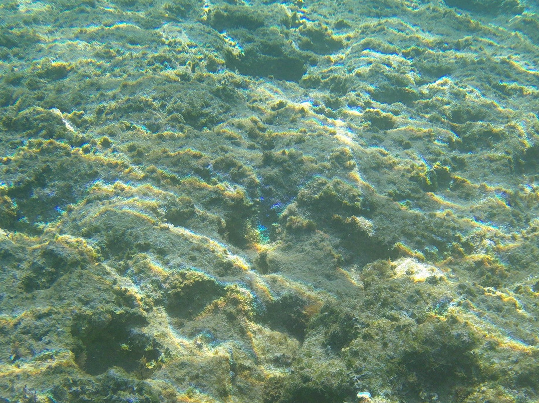 Kapparris Beach-帕拉林尼必去景点