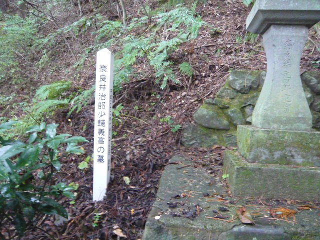 Daiho-ji Temple-盐尻市必去景点