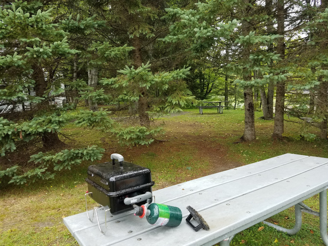 Lake Francis State Park-Pittsburg必去景点