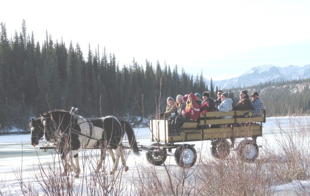 Old Entrance Trail Rides-兴顿必去景点