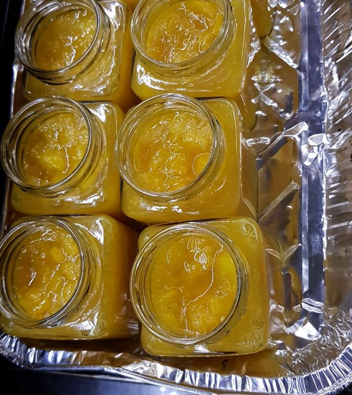 Jungle Jam-头顿必去景点