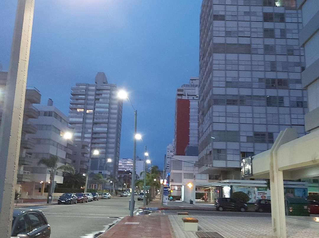 Avenida Gorlero景点图片