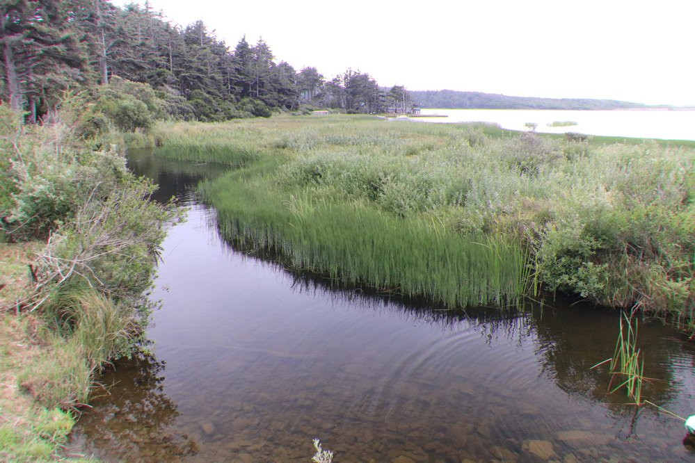Floras Lake Beach-Langlois必去景点