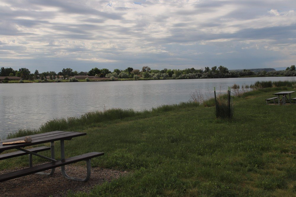 Lake Elmo State Park-比灵斯必去景点