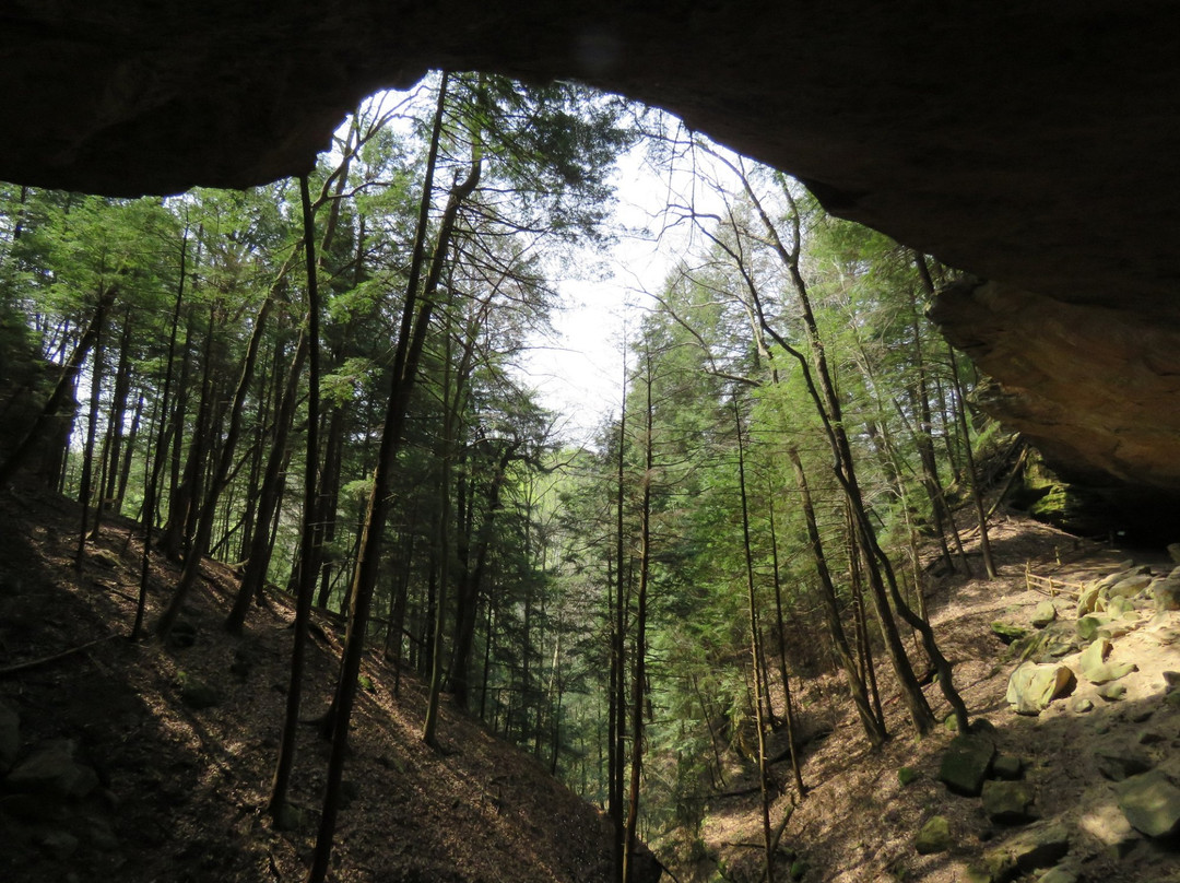 Hemlock Bridge Trail景点图片