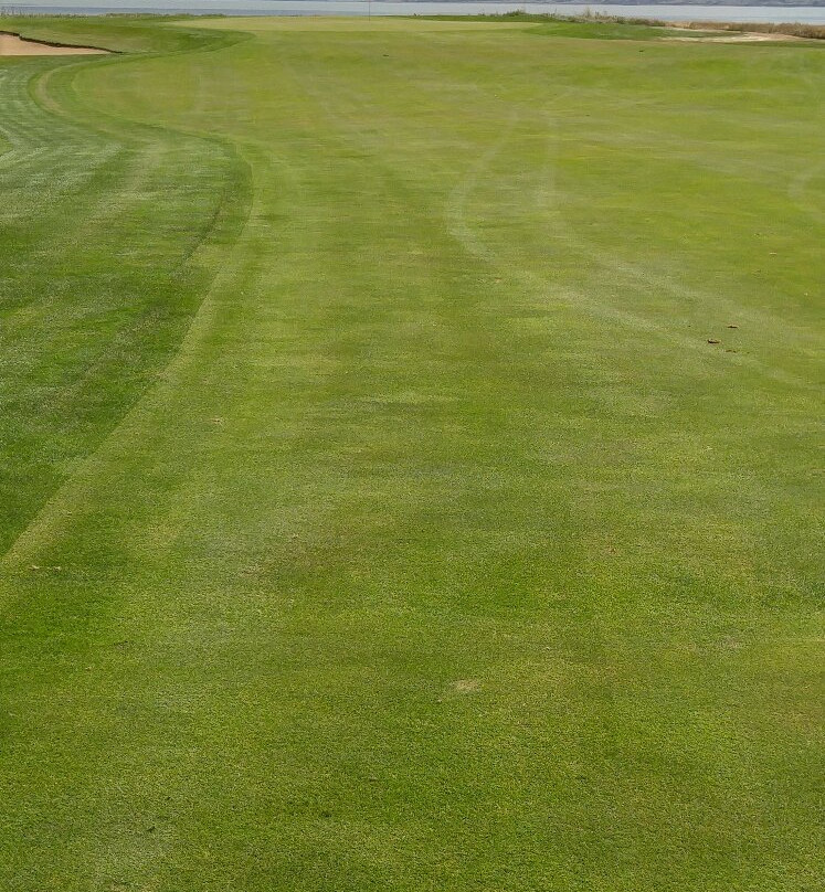 Links of North Dakota-Williston必去景点