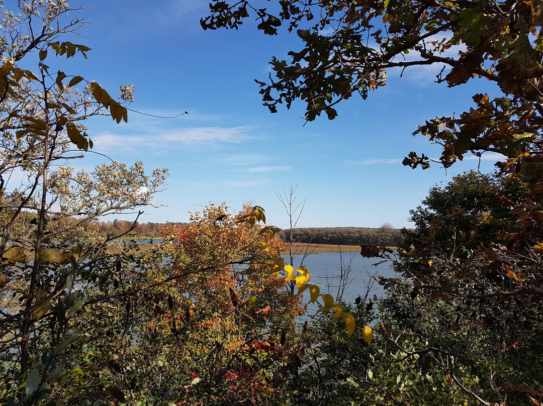 Fanshawe Conservation Area-伦敦必去景点