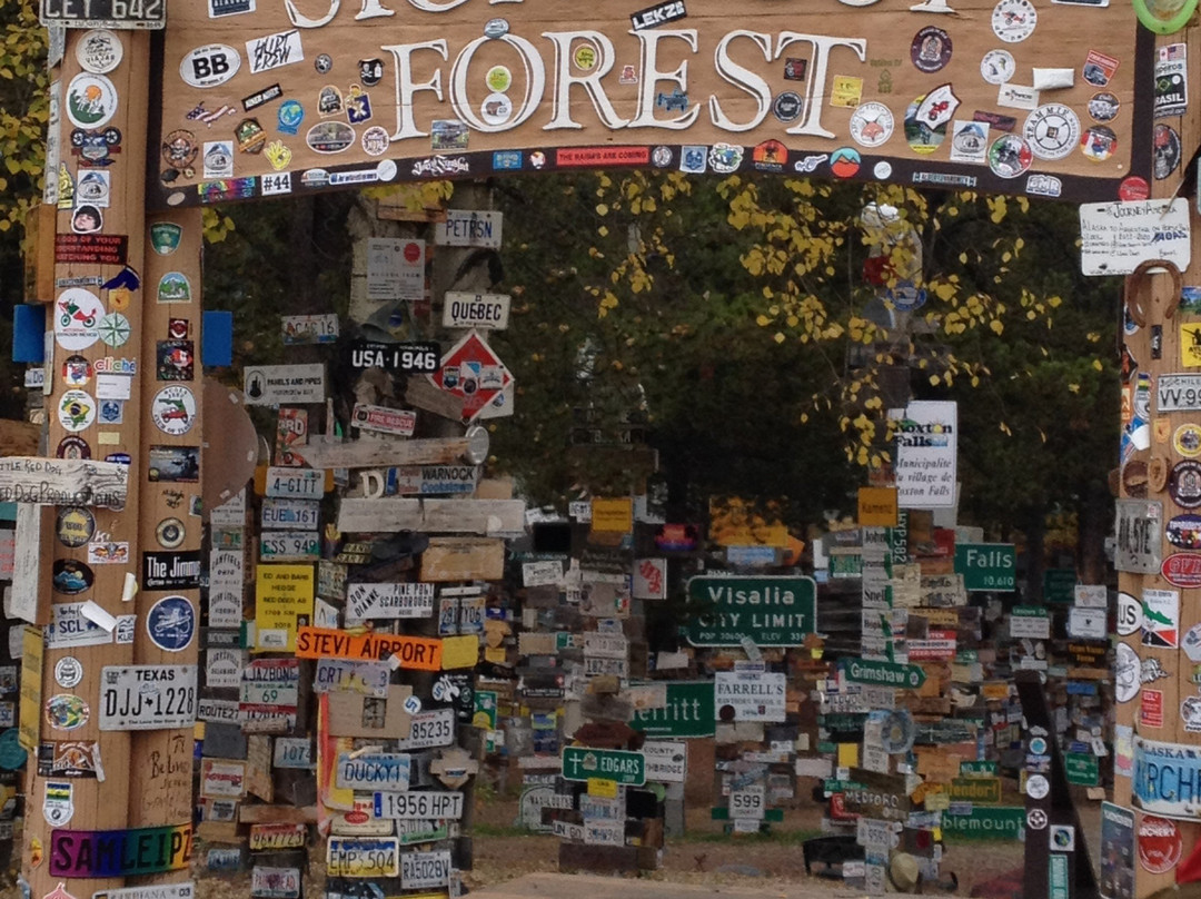 Sign Post Forest-Watson Lake必去景点