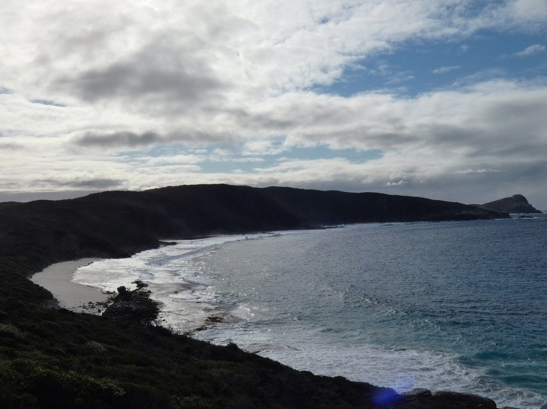 Cable Beach-奥尔巴尼必去景点