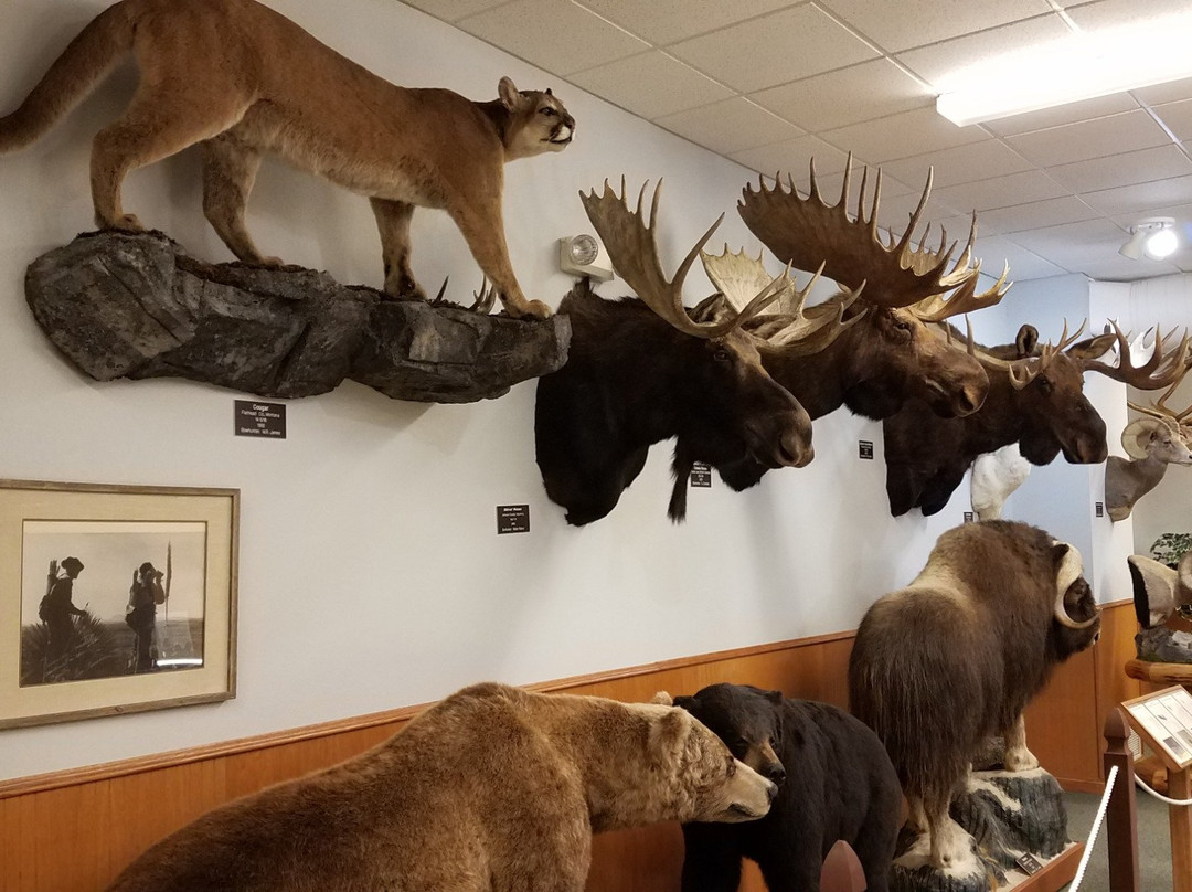 Pope and Young Museum-Chatfield必去景点