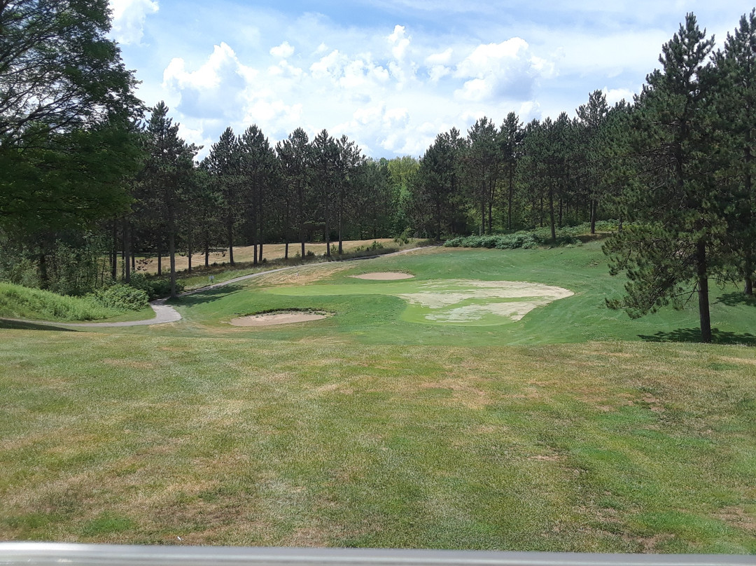 Black Bear Golf Club景点图片
