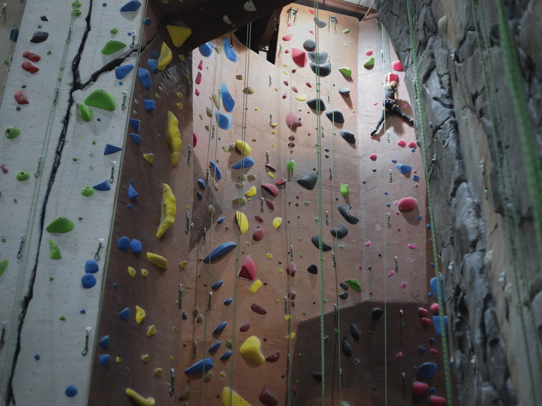 Oakland Park旅游景点-ProjectRock