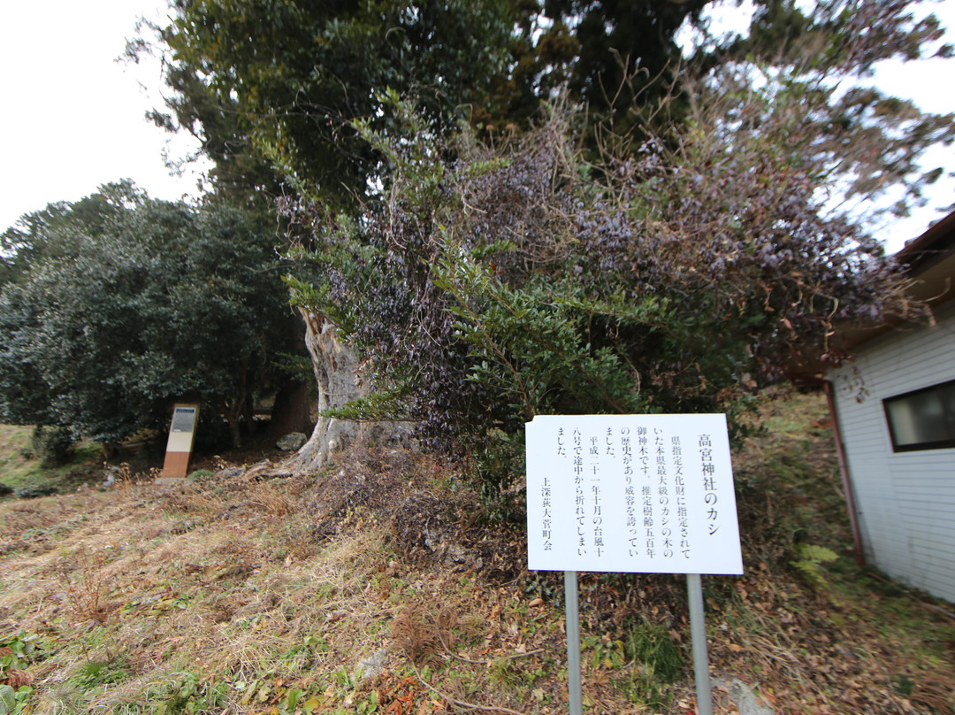 Takamiya Shrine景点图片