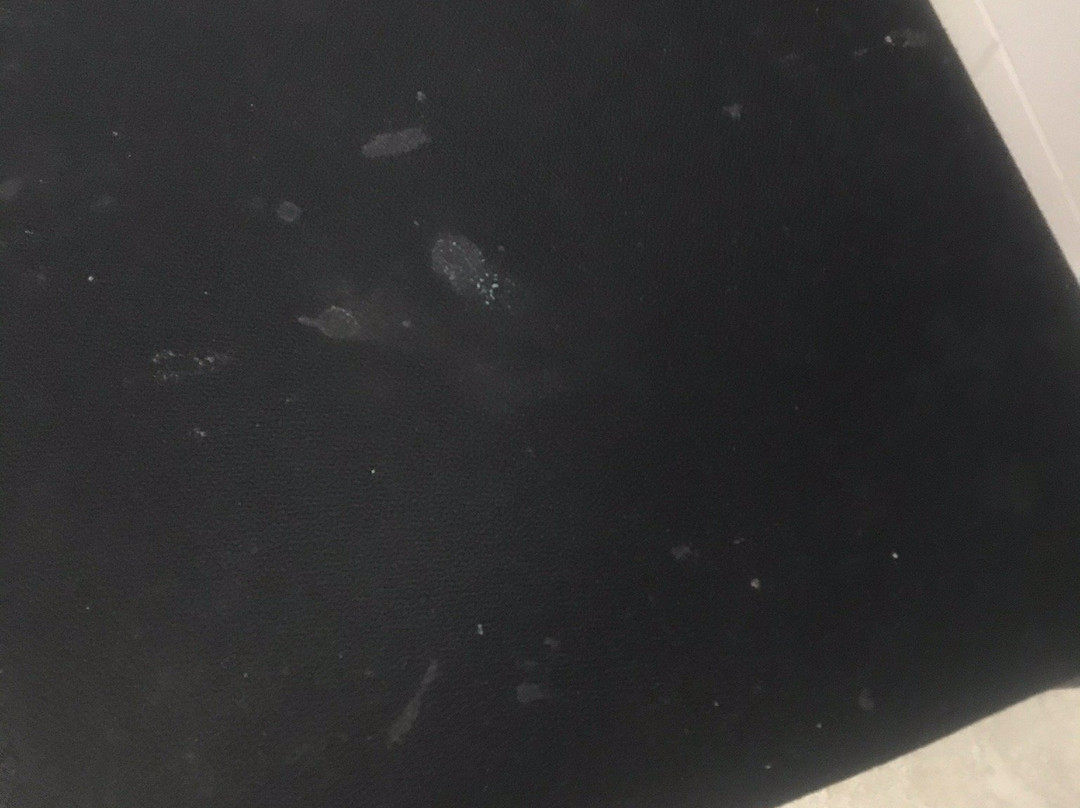 Cedar Lodge Motel主图