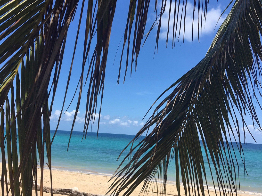 Le Maoré Lagoon Diving Center-Chirongui必去景点
