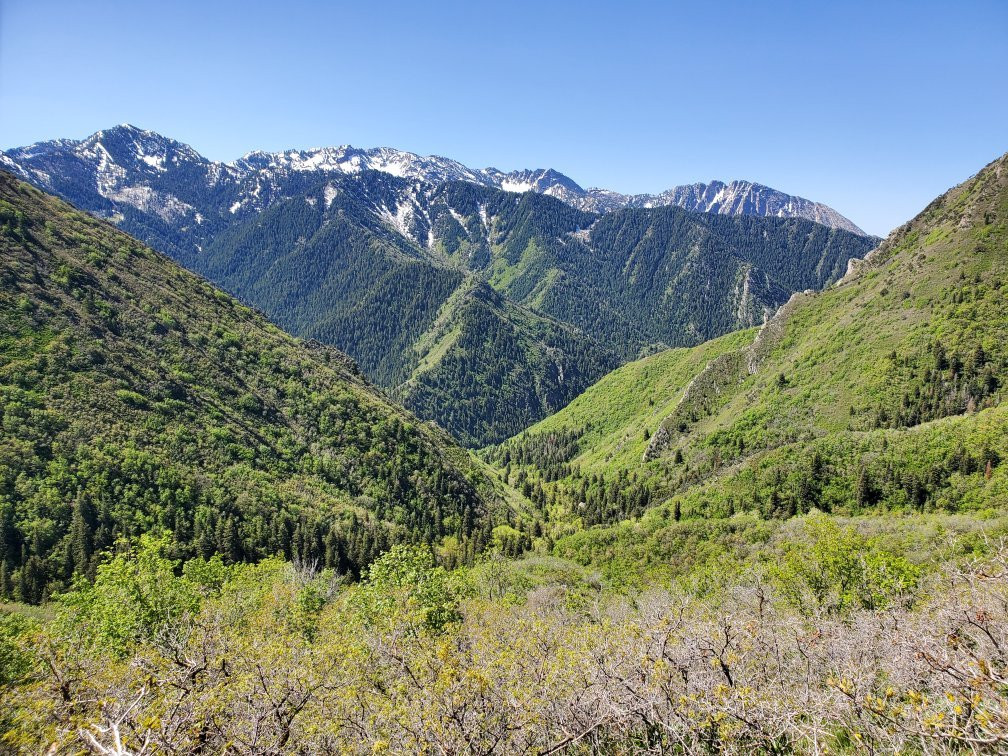 Grandeur Peak Trail景点图片