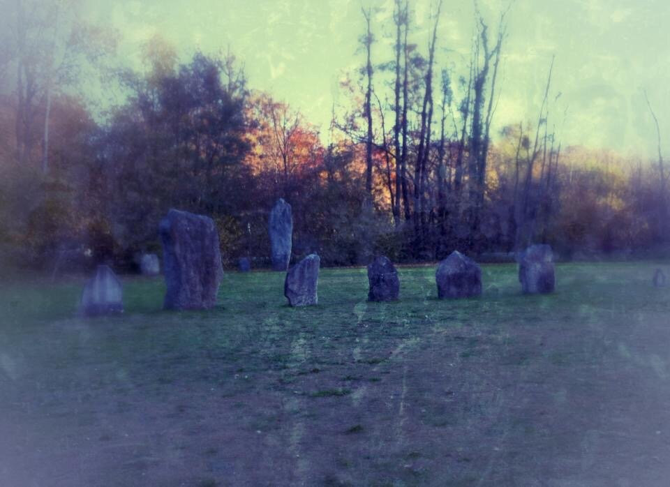 Menhirs de Clendy景点图片