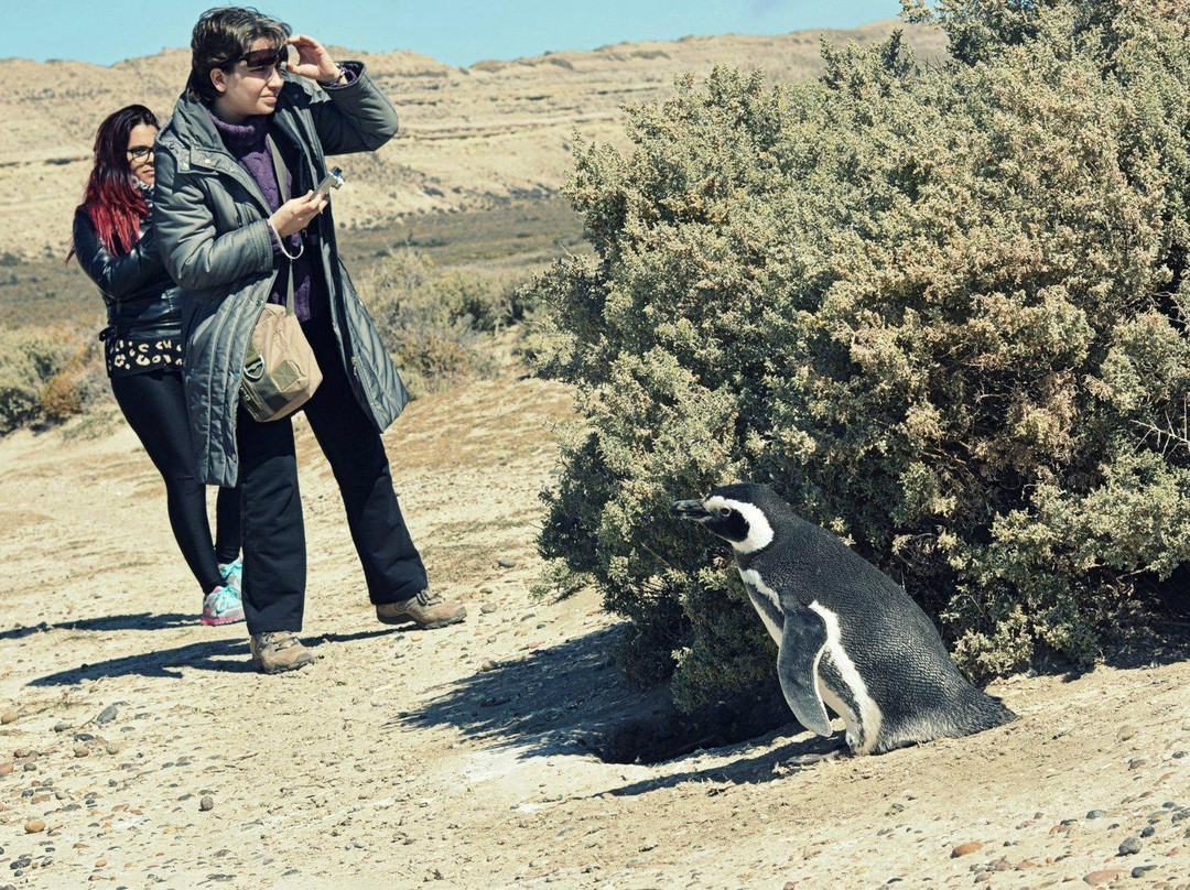 El Pedral-Punta Ninfas必去景点