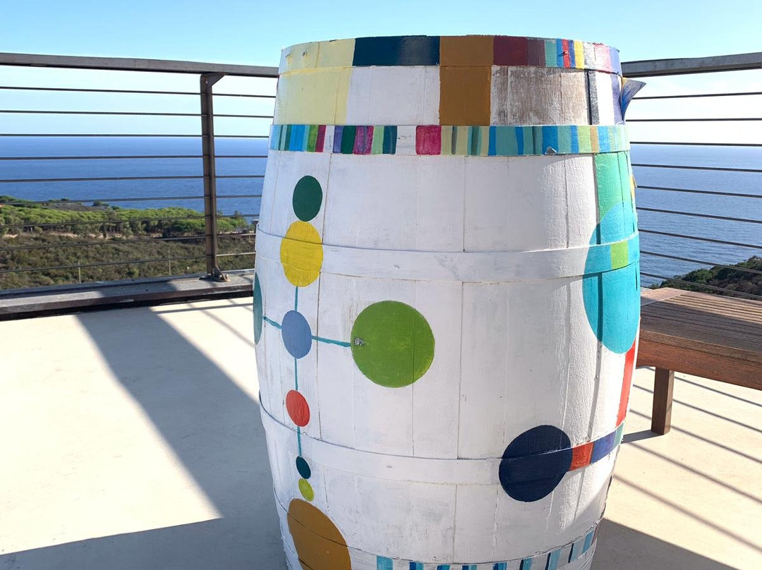 Yubike Tours-阿姆斯特丹必去景点