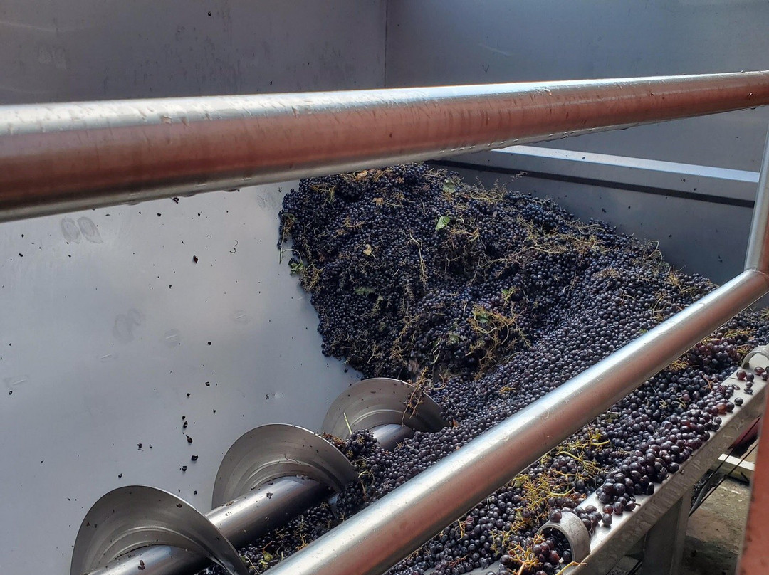 Palazzo Vecchio Winery-Valiano必去景点