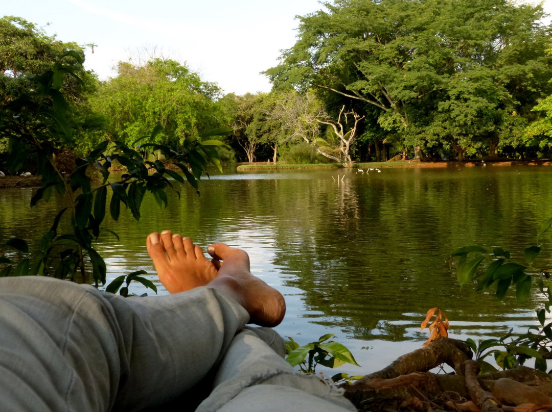 Universidad del Valle