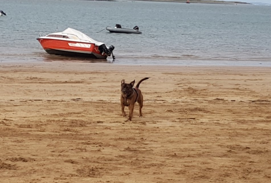 Instow Beach景点图片