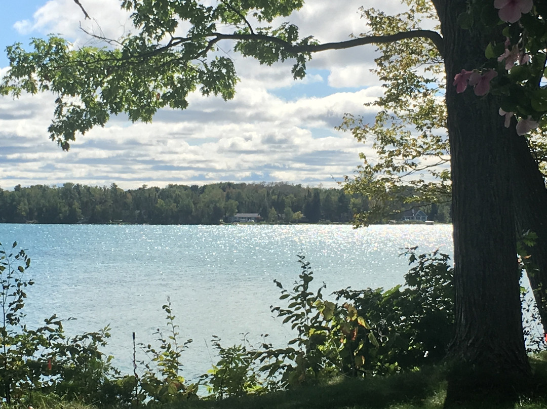 White Birch Lodge主图