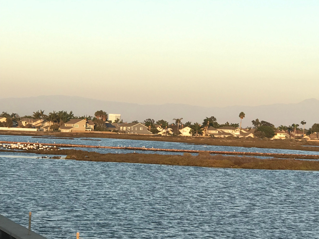 Bolsa Chica Ecological Reserve-亨廷顿海滩必去景点